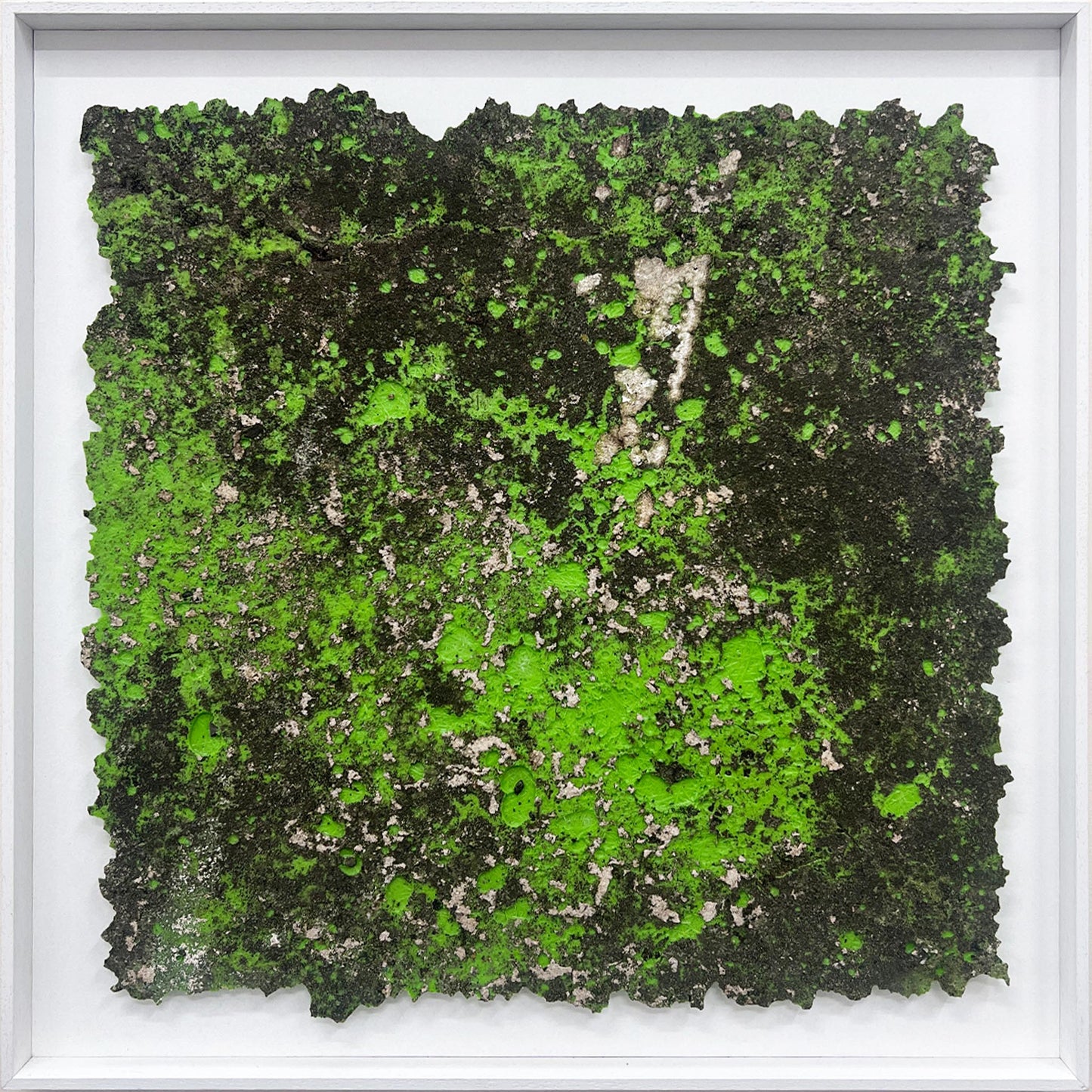 33°50'18.3"S - 151°07'41.9"E