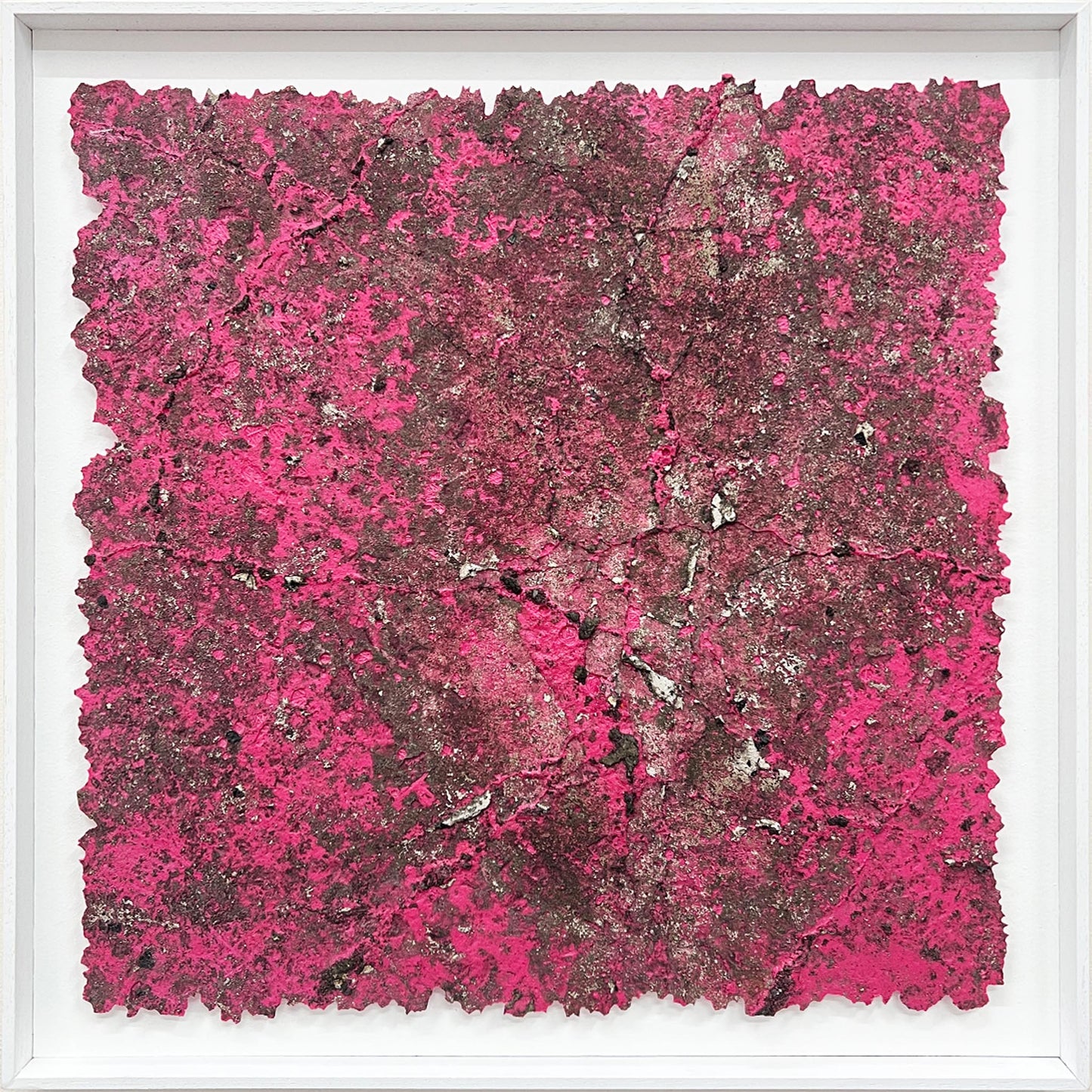 33°50'18.6"S - 151°07'41.6"E