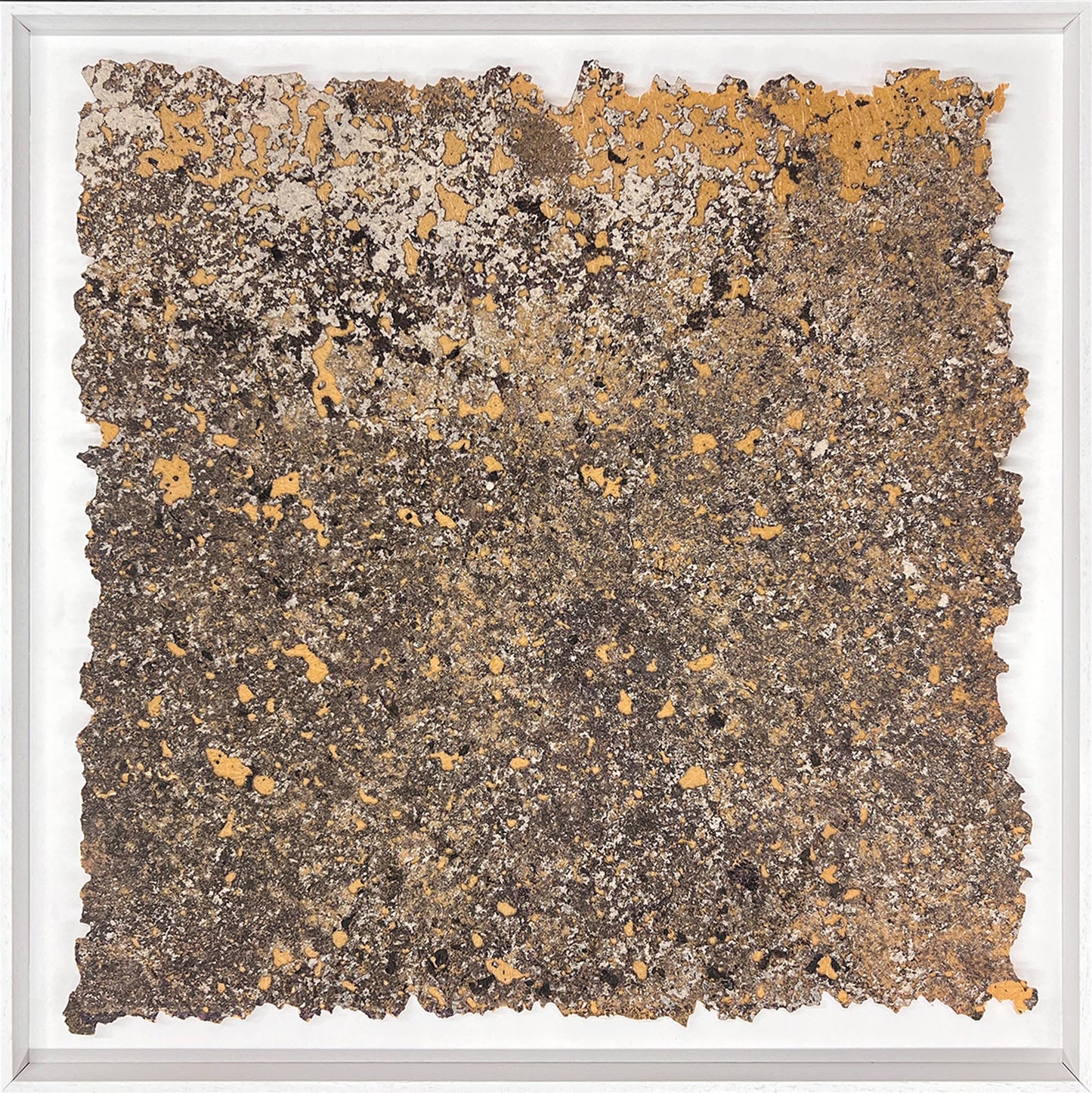 33°50'18.6"S - 151°07'42.2"E