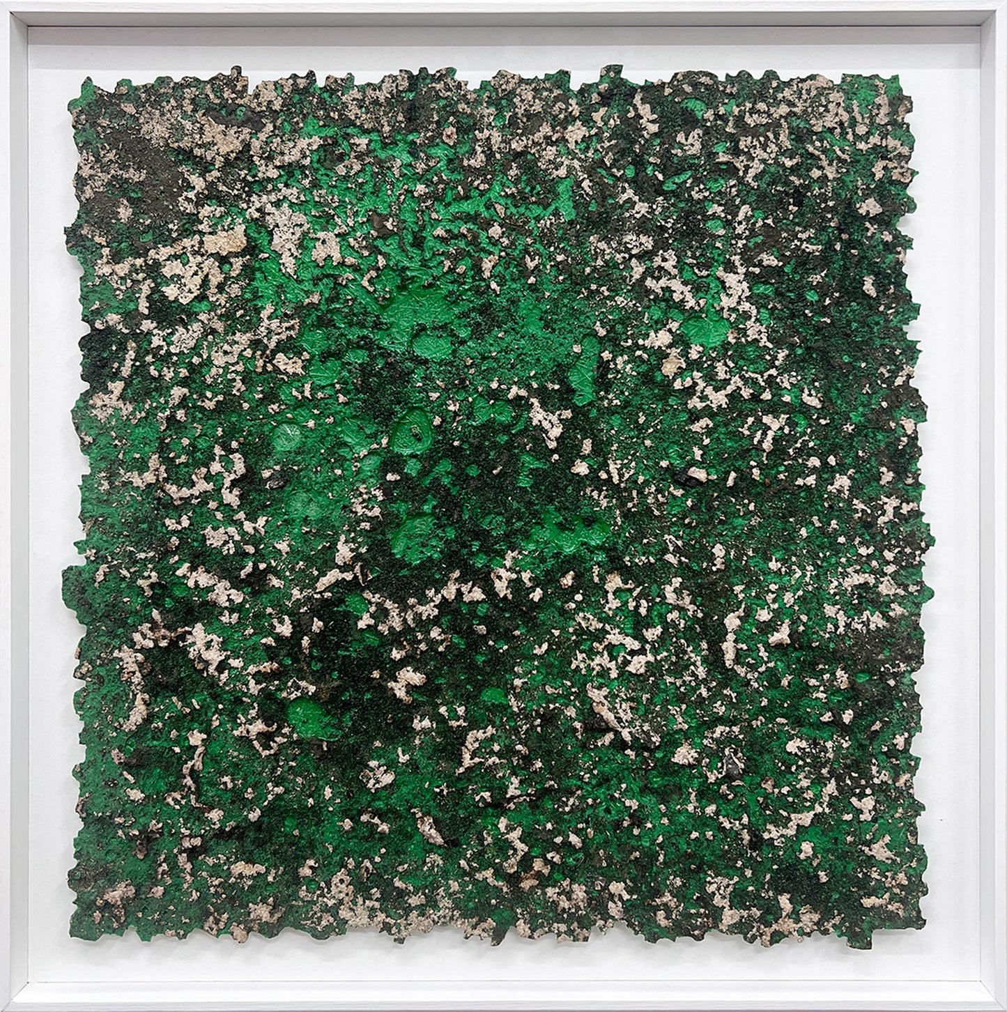 33°50'18.7"S - 151°07'41.5"E