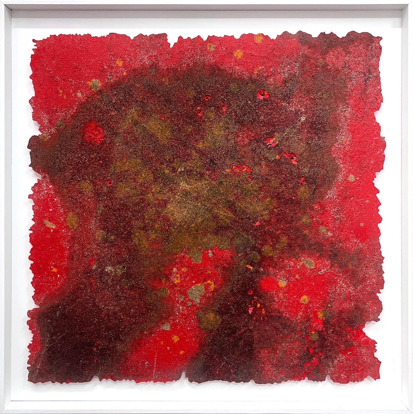 33°50'18.8"S - 151°07'41.5"E