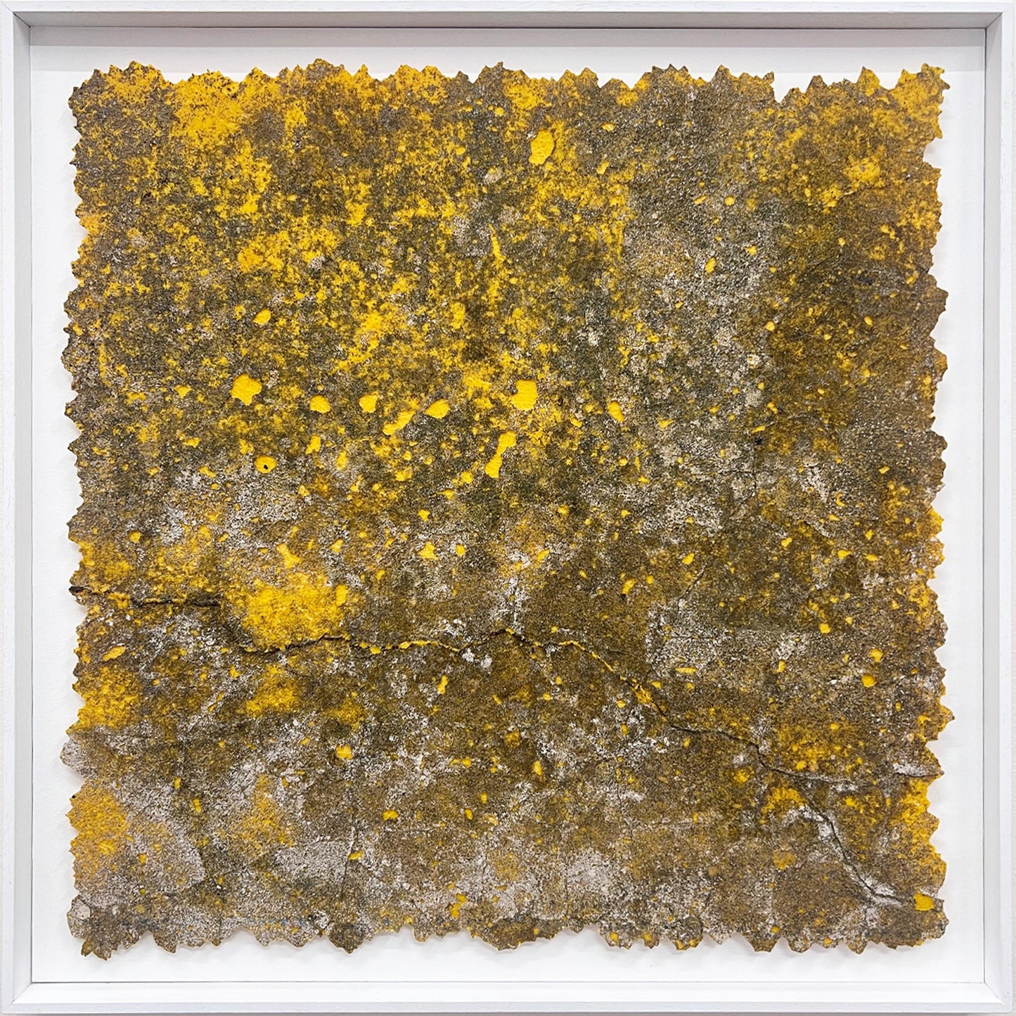 33°50'18.8"S - 151°07'41.9"E