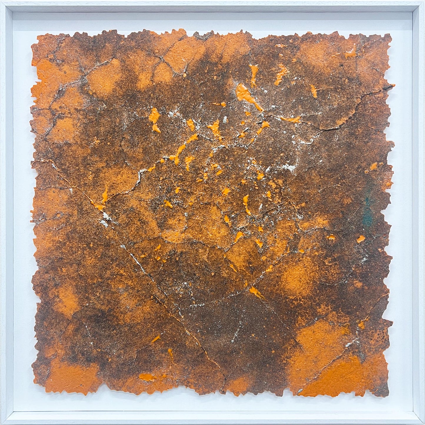 33°50'18.9"S - 151°07'41.8"E