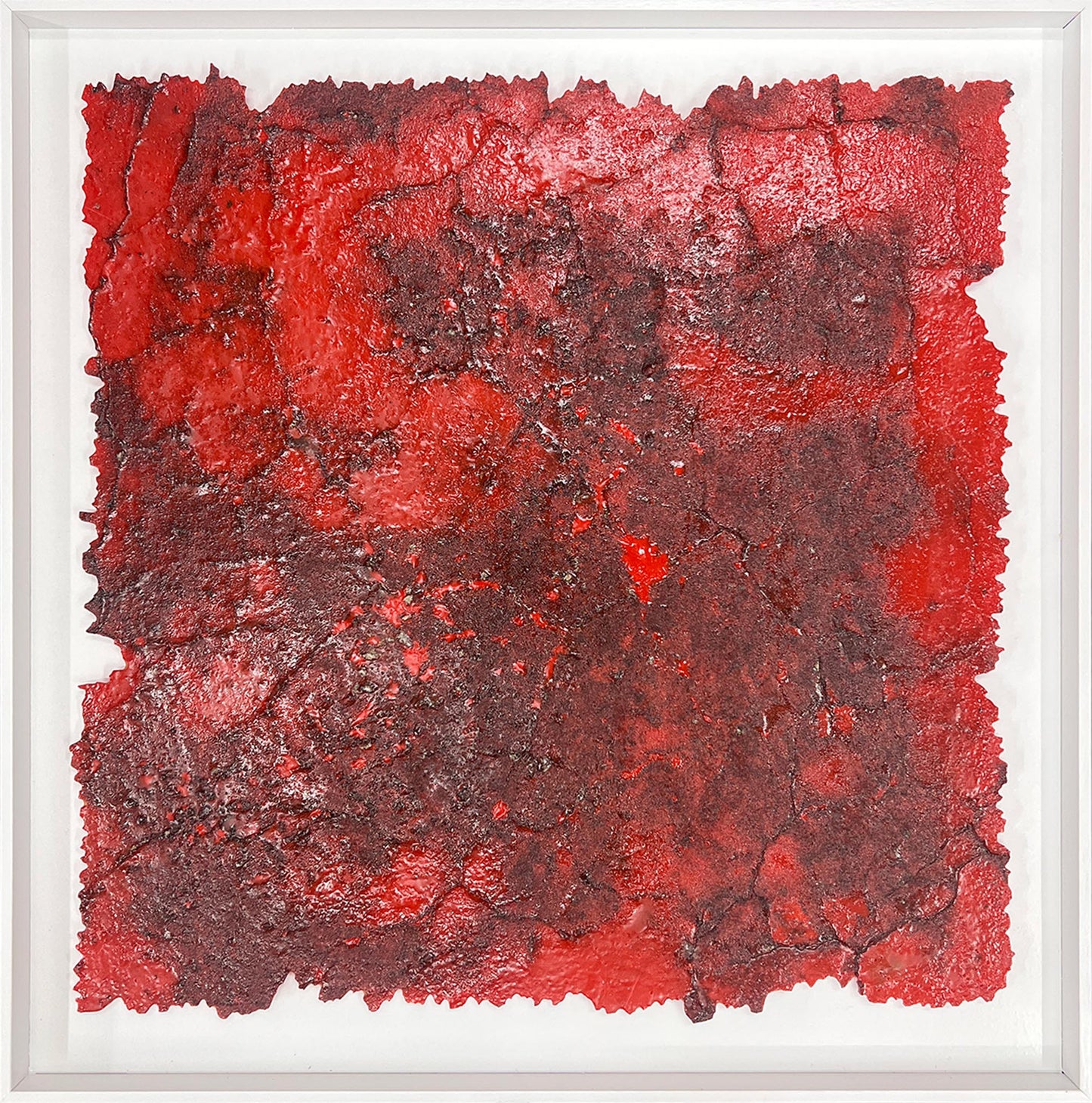 33°50'18.9"S - 151°07'41.9"E