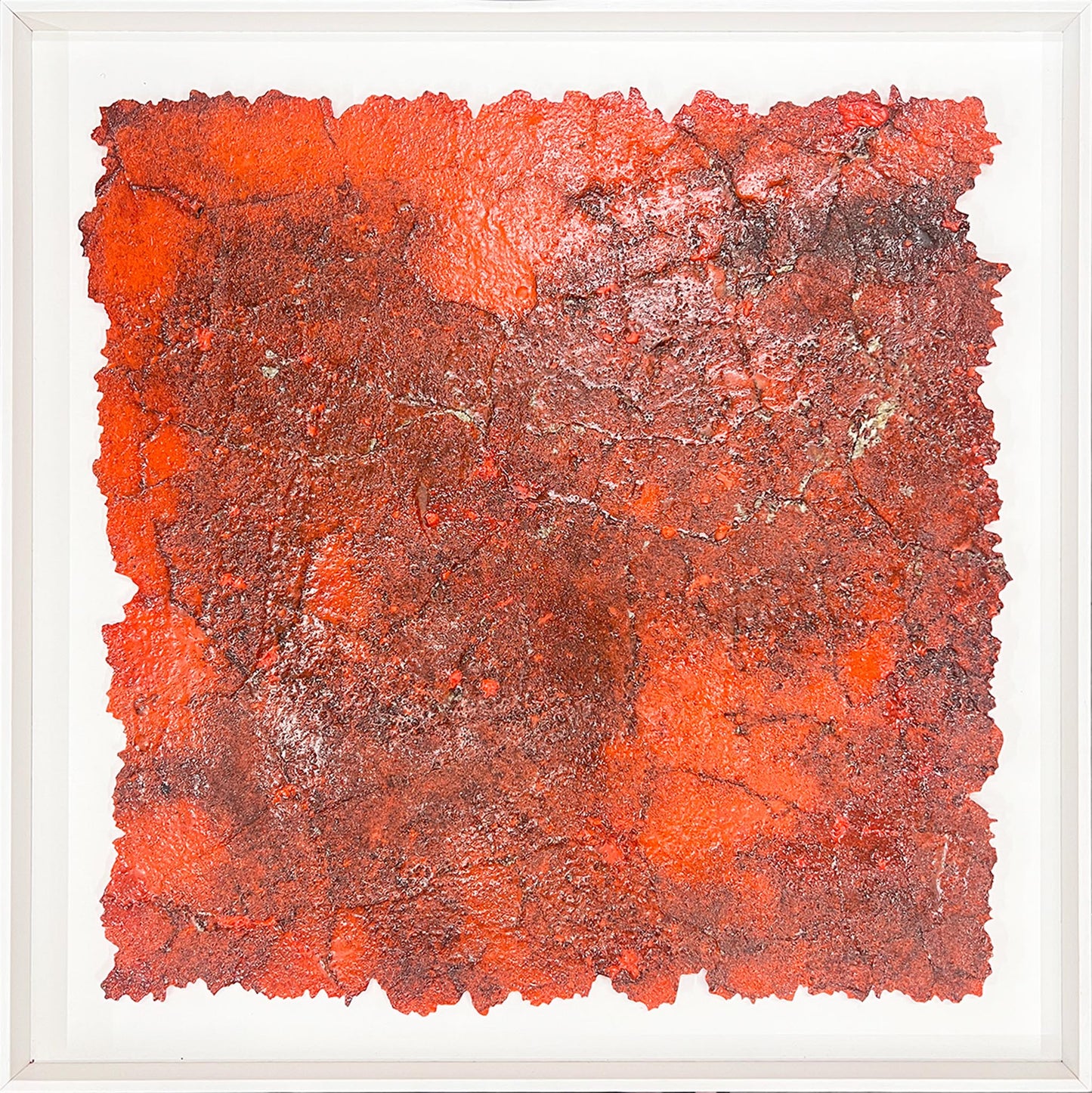 33°50'19"S - 151°07'42.3"E