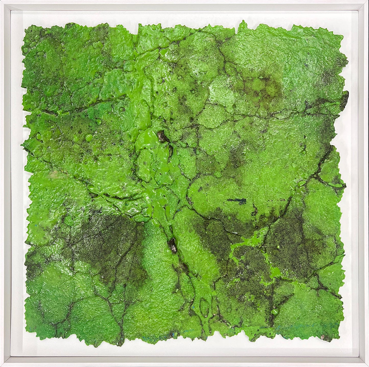 33°50'19"S - 151°07'42"E