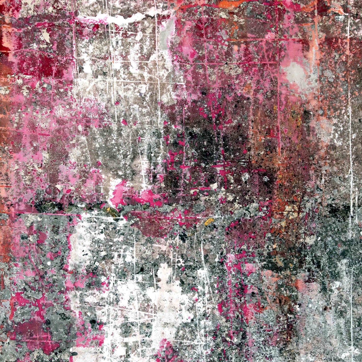 The Shroud of Terrine