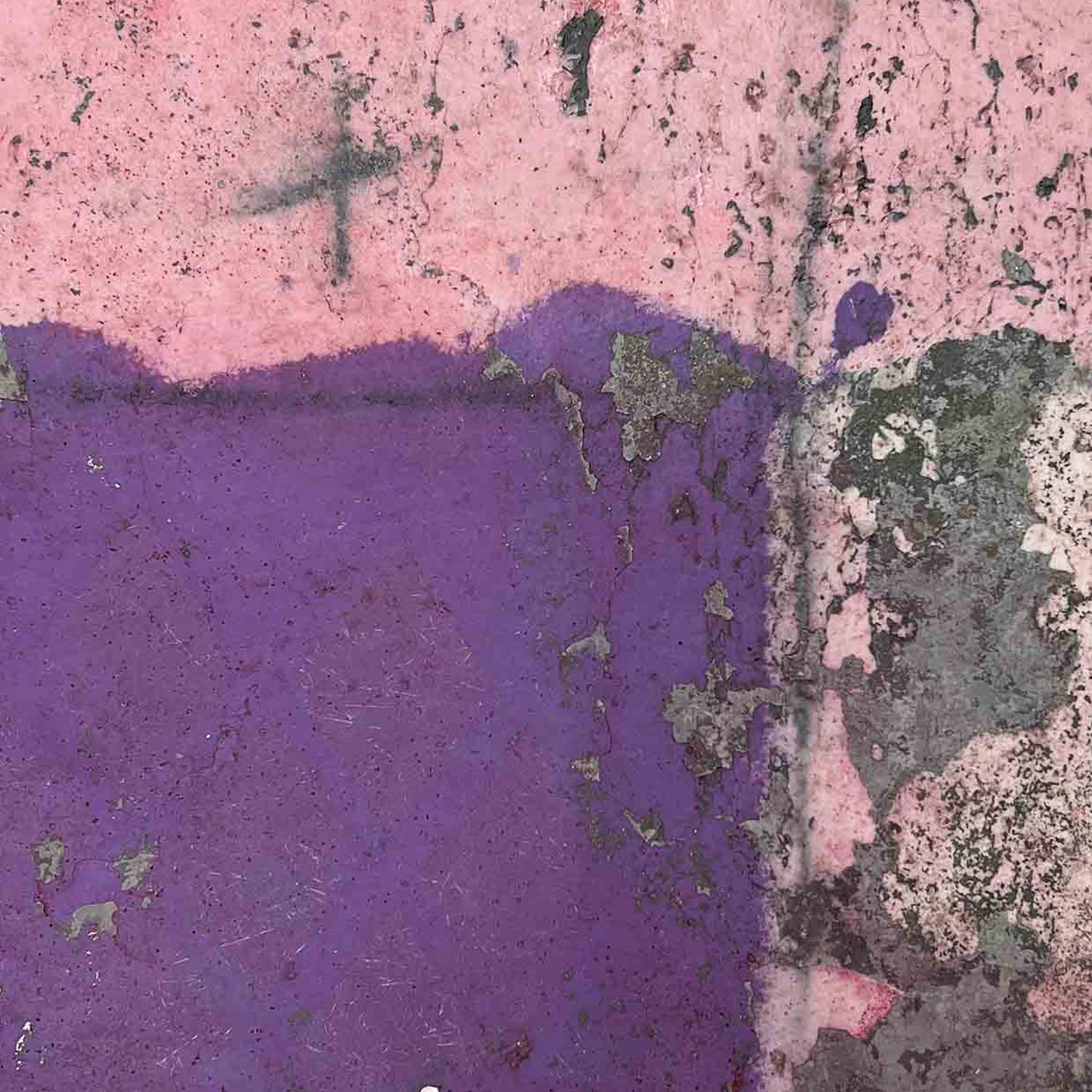 Harlequin Grunge - 2023