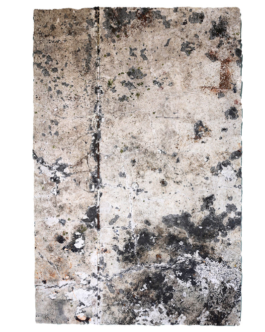 Fibre Fossil
