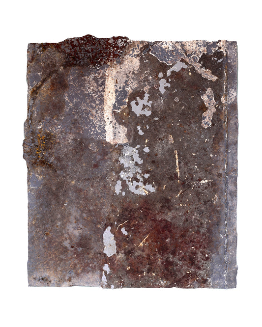Fossil Form